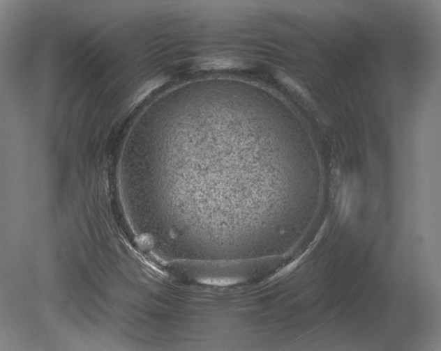 X0000078861305200611201303