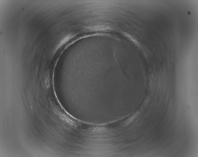 X0000078861306200611201303