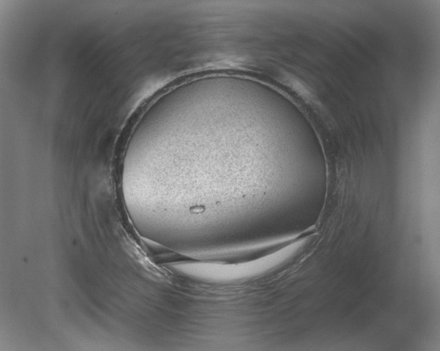 X0000078861308200611201303