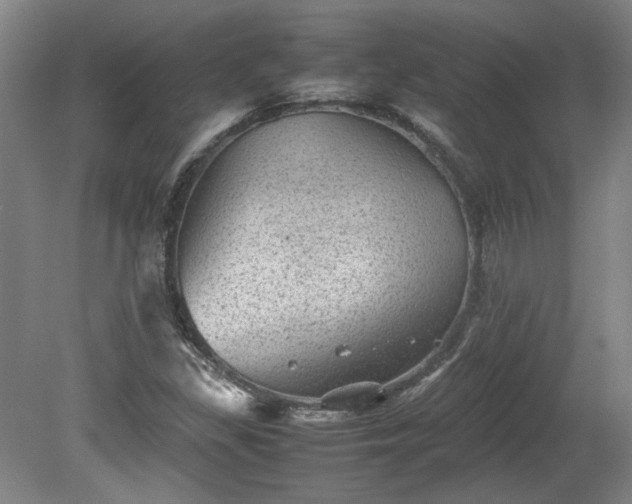 X0000078861309200611201303