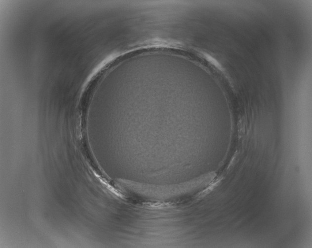 X0000078861310200611201303