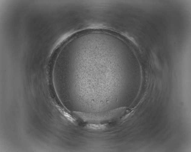 X0000078861311200611201303