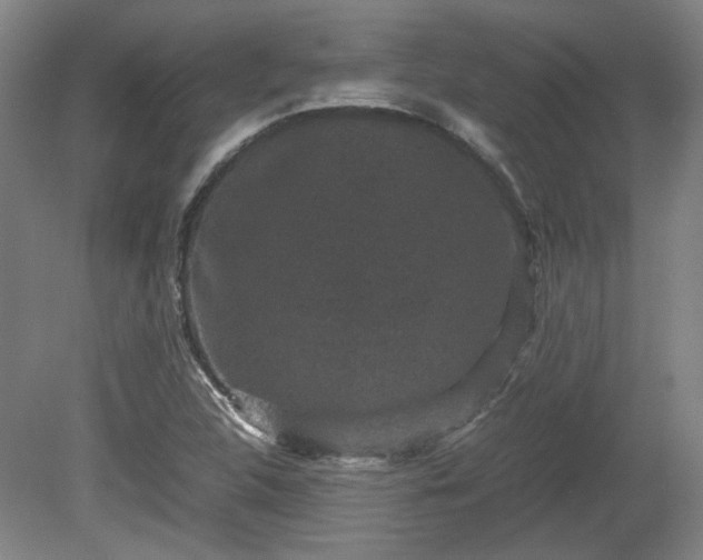 X0000078861312200611201303