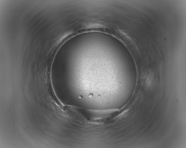 X0000078861313200611201303