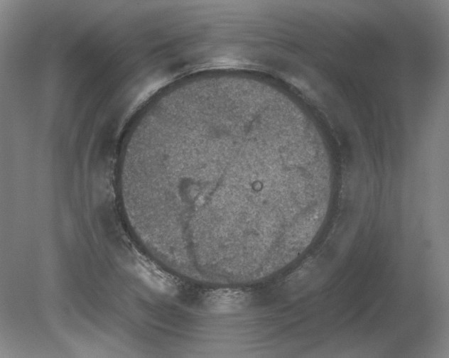 X0000078861314200611201303