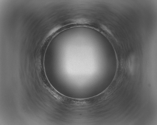 X0000078861315200611201303