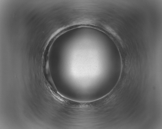 X0000078861316200611201303