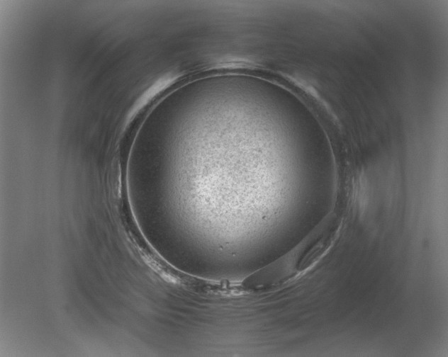 X0000078861317200611201303