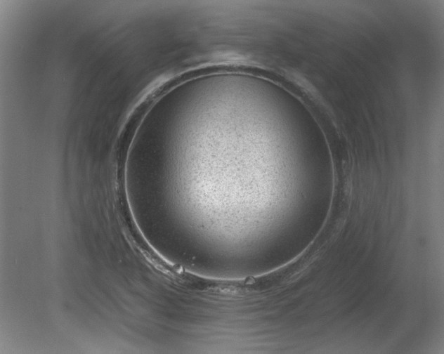 X0000078861318200611201303