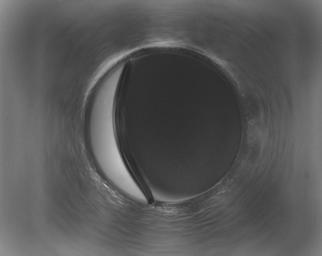 X0000078861319200611201303