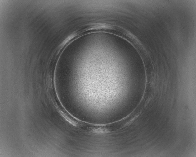 X0000078861321200611201303