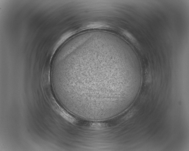 X0000078861322200611201303