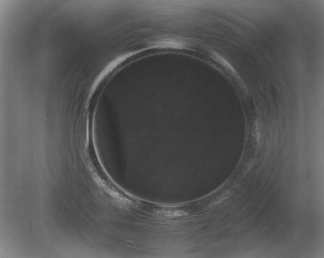 X0000078861323200611201303