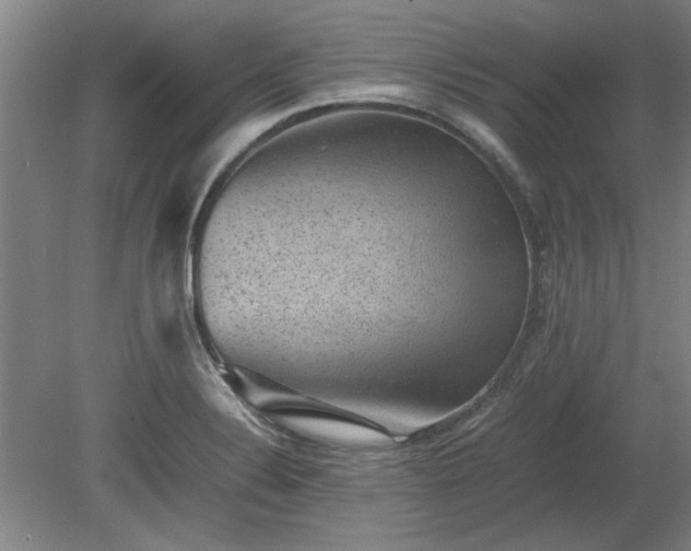 X0000078861324200611201303