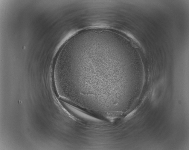 X0000078861325200611201303