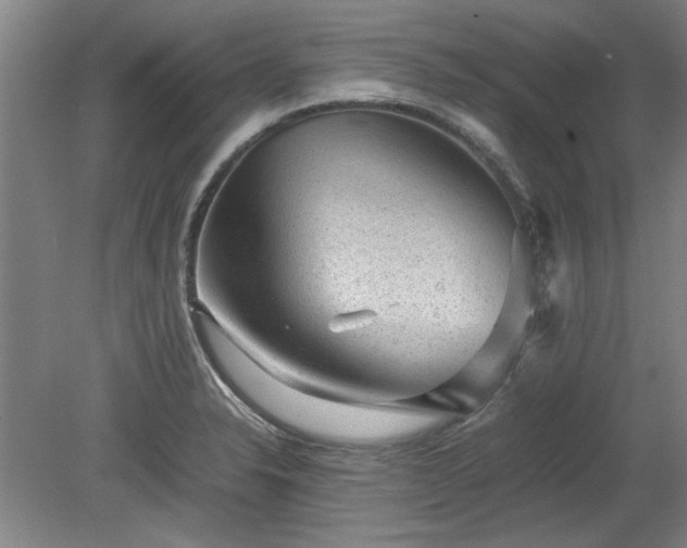 X0000078861326200611201303