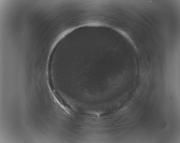 X0000078861327200611201303