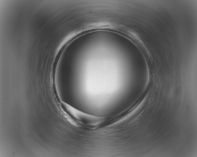 X0000078861328200611201303