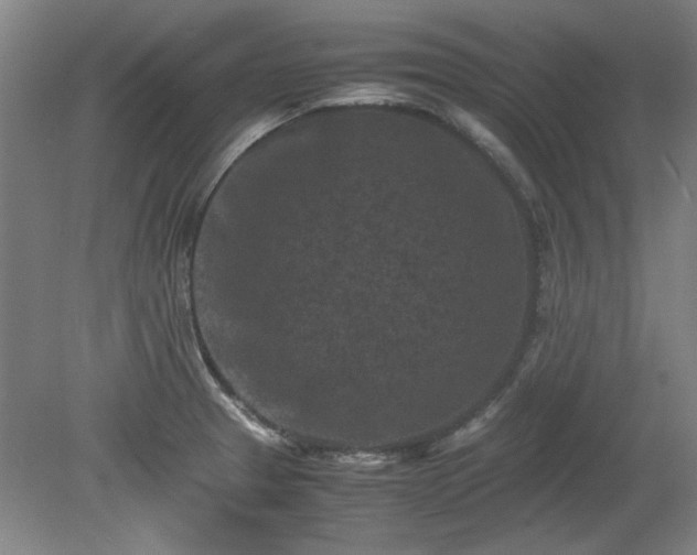 X0000078861329200611201303