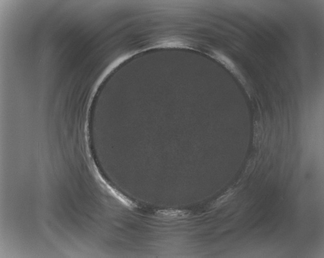 X0000078861331200611201303