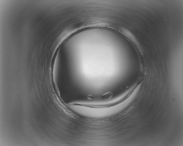 X0000078861332200611201303