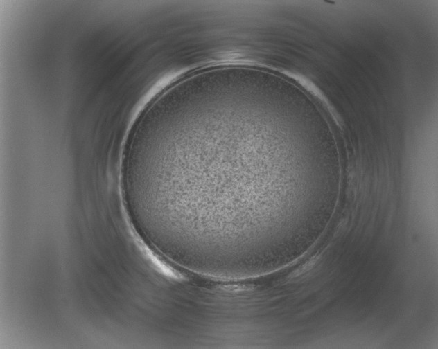 X0000078861333200611201303