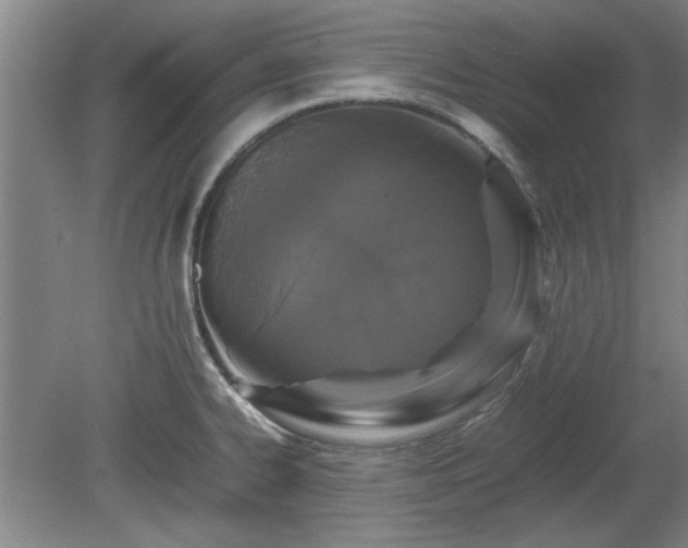 X0000078861334200611201303