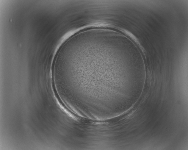 X0000078861335200611201303