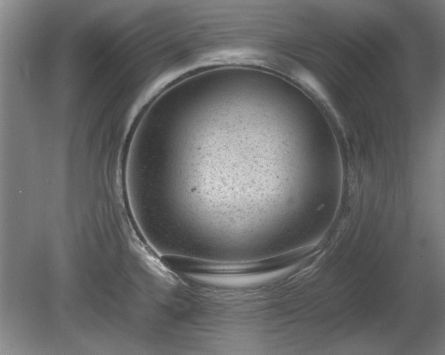 X0000078861336200611201303