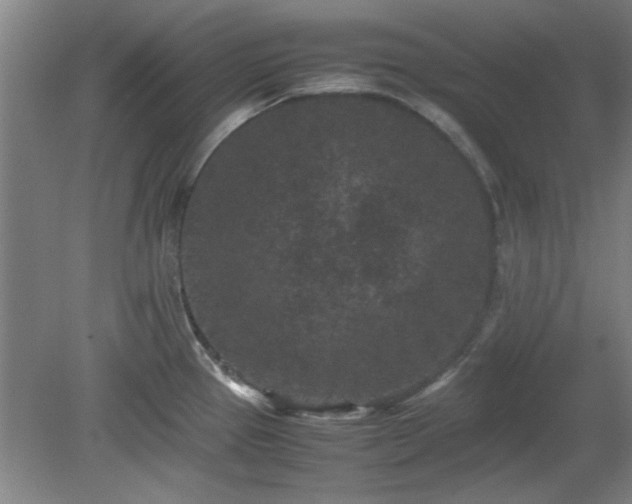 X0000078861337200611201303