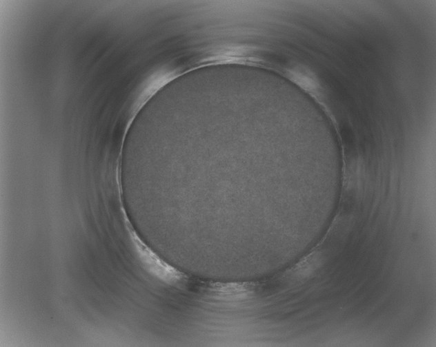 X0000078861338200611201303