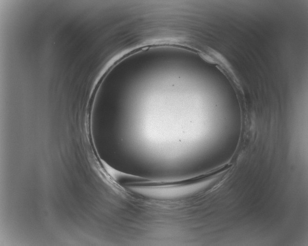 X0000078861340200611201303