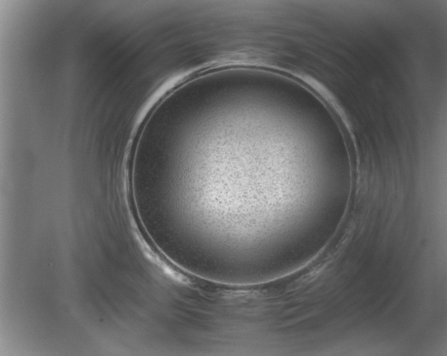 X0000078861341200611201303