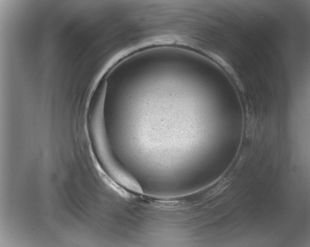 X0000078861342200611201303