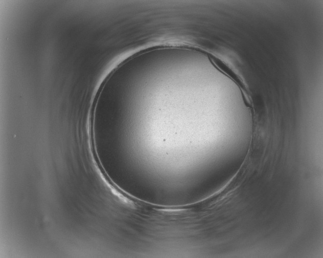 X0000078861343200611201303