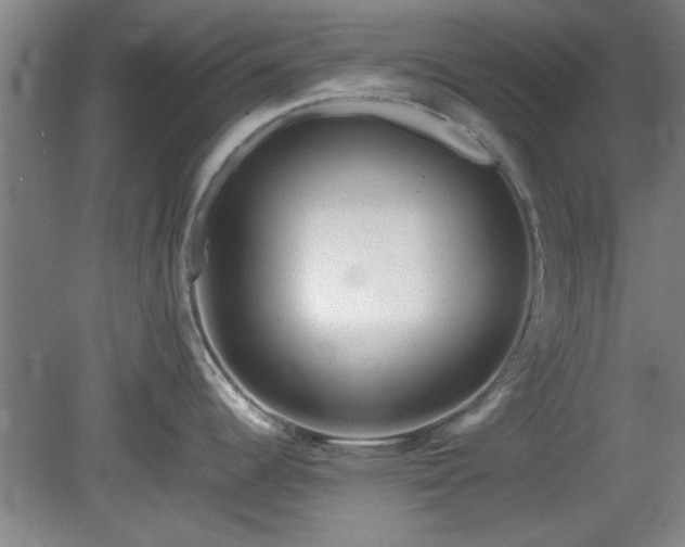 X0000078861344200611201303