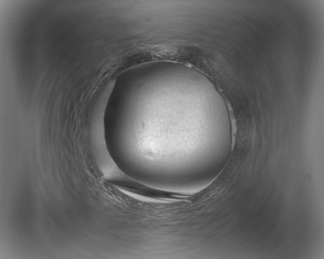 X0000078861345200611201303