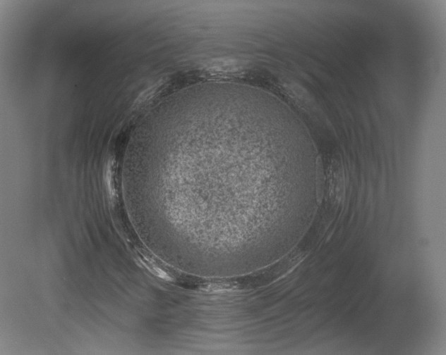 X0000078861346200611201303