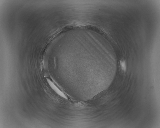 X0000078861348200611201303