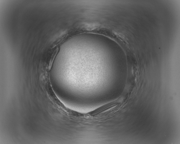 X0000078861349200611201303