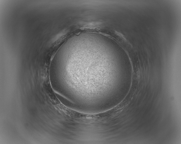 X0000078861350200611201303