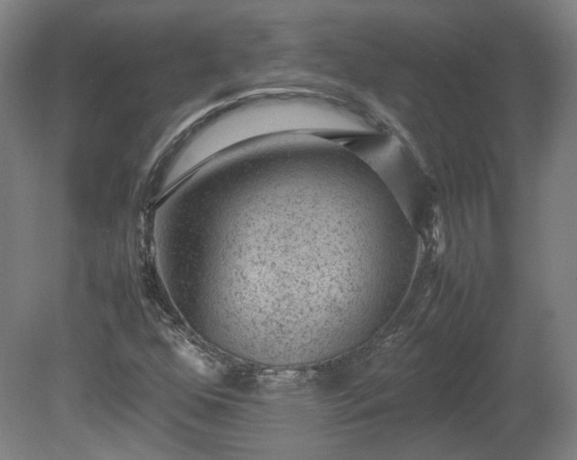 X0000078861352200611201303