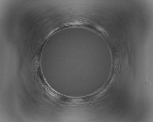 X0000078861353200611201302