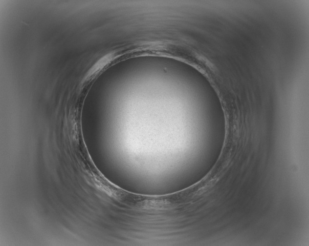 X0000078861354200611201302