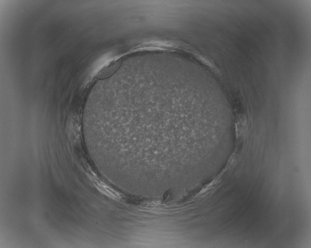 X0000078861355200611201302