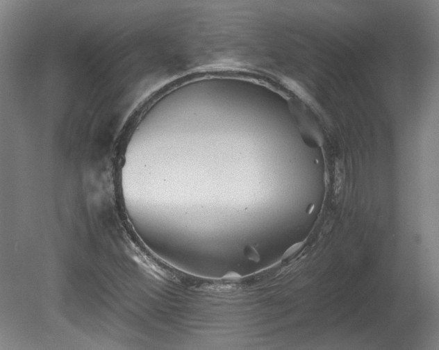 X0000078861356200611201302