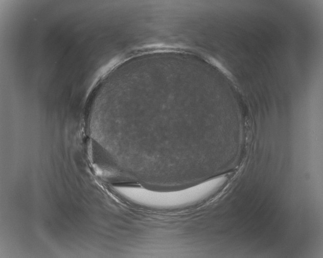 X0000078861357200611201302