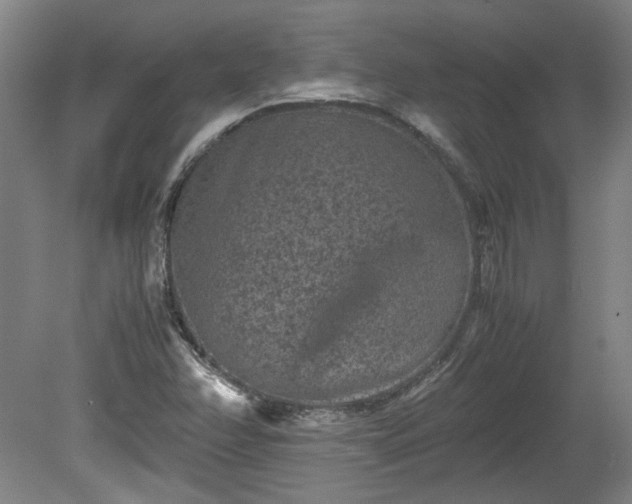 X0000078861358200611201302