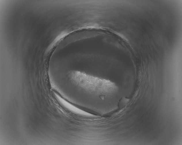 X0000078861359200611201302