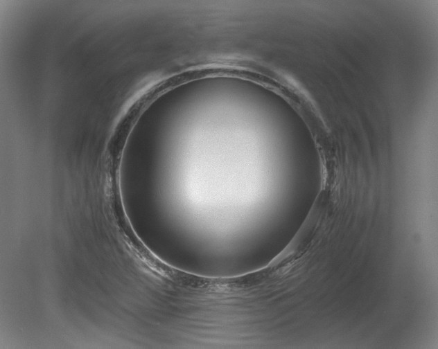 X0000078861360200611201302